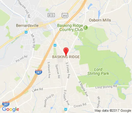 logo-image - basking-ridge-nj